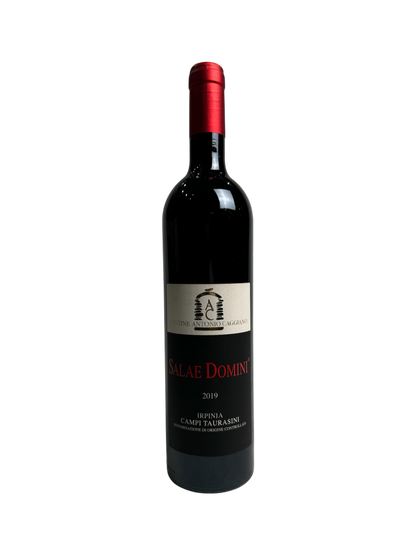 "Salae Domini" 2019 Aglianico dell'Irpinia Antonio Caggiano